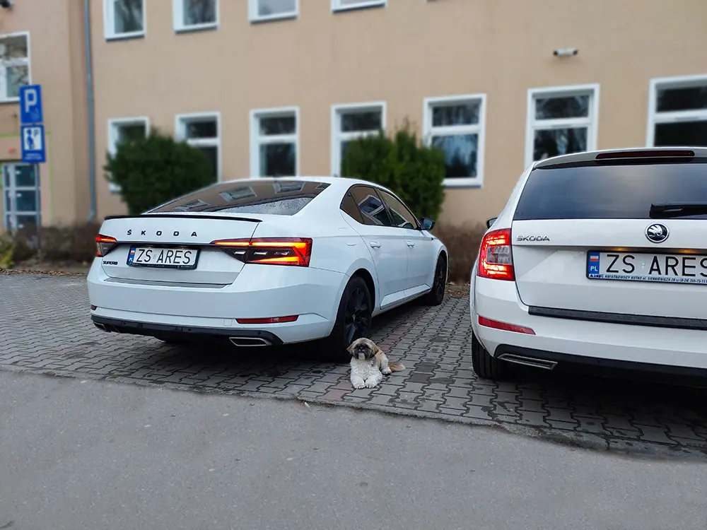 Pojazdy Ares Taxi Police